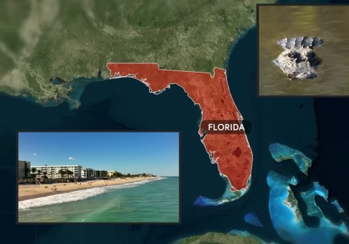 The Cost of Healthcare in Leon County, Florida: A Closer Look