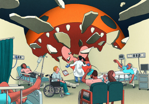 The Healthcare System in Leon County, Florida: A Comprehensive Overview