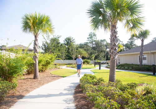 Navigating Healthcare Options for Seniors in Leon County, Florida